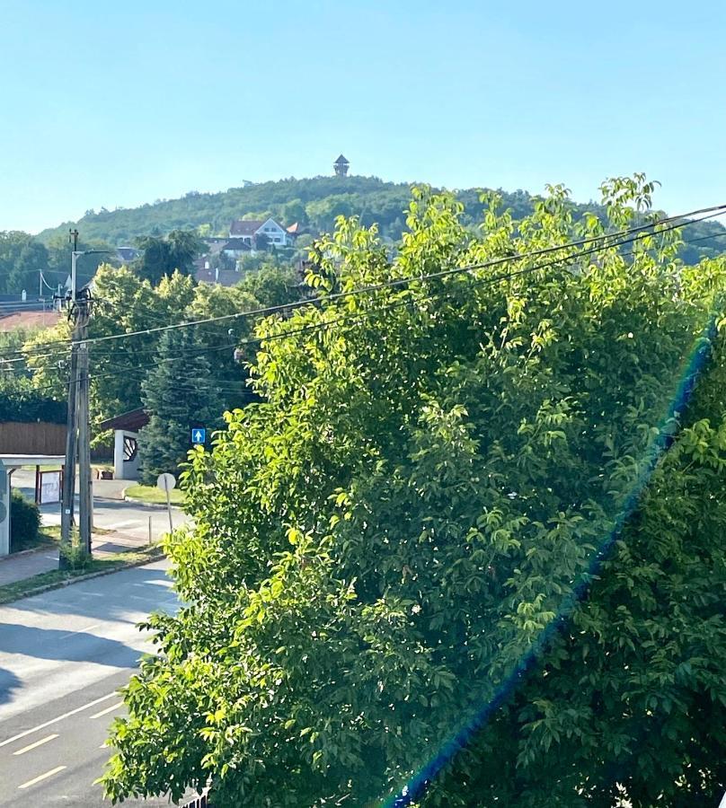 Apartment Azur Panorama Alsoors